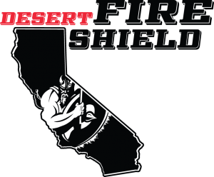 dfs-full-logo